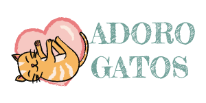Adoro Gatos